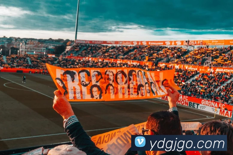 奖项证书